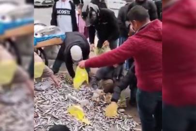 Balık tezgâhını bilerek devirdi: Tiktok’ta canlı yayın açtı