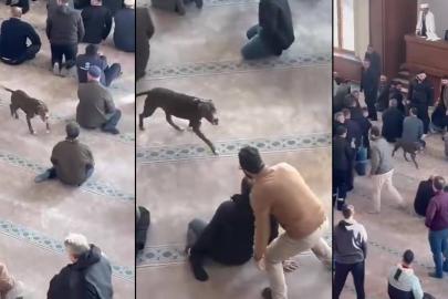 Camiye giren pitbull tedirginliğe neden oldu