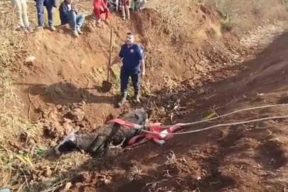 Eyyübiye'de inek kurtarma operasyonu