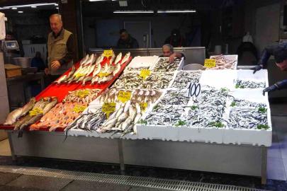 Hamsi bereketi yaşanıyor