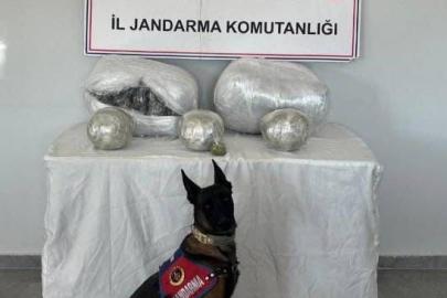 Jandarma kilolarca uyuşturucu ele geçirdi