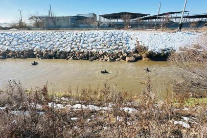 Kayıp sürücüyü arama çalışması devam ediyor