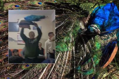 Kuş ihalesinde bu sefer farklı bir satış gerçekleşti