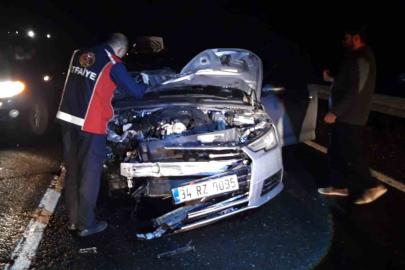 Otomobilin çarptığı at telef oldu