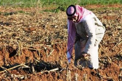 Şanlıurfa çiftçisine don uyarısı