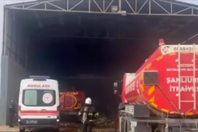 Şanlıurfa’da bir fabrikada yangın