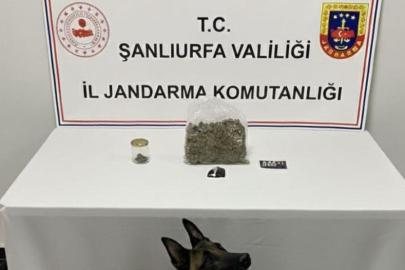 Şanlıurfa'da uyuşturucu operasyonu