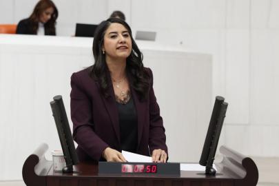 Siverek’teki ‘ölüm yolu’ TBMM'ye taşındı