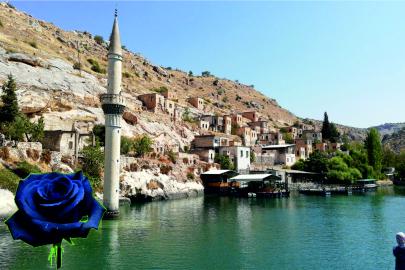 Türkiye'nin parlayan yıldızı: Halfeti