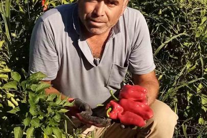 Asansör boşluğuna düşen vatandaş hayatını kaybetti