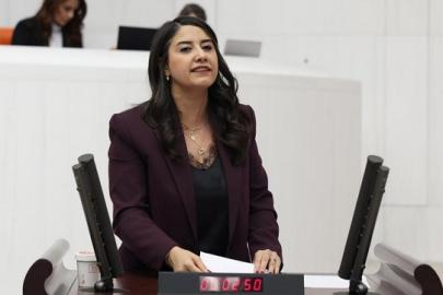 Ayan: 'Urfa’da 148 mahallede elektrik yok'