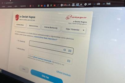 Bilişim uzmanı uyardı: E-Devlet’in kopyalarıyla dolandırıcılığa dikkat