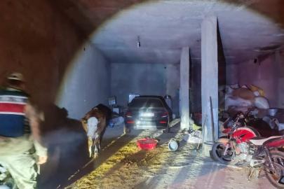 Çaldıkları lüks arabayı, ahırda sakladılar