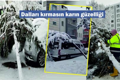 'Gel, Şanlıurfa'da bir ağacın can yoldaşı ol'