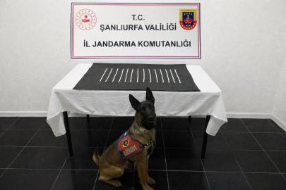 Harran’da uyuşturucu operasyonu: 2 gözaltı