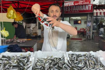 İstavrit tezgahta 100 liradan satıldı
