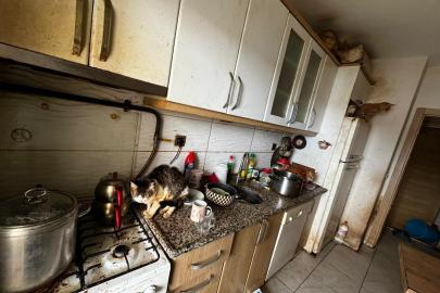 Kapı açılınca karşılaşılan manzara şoke etti