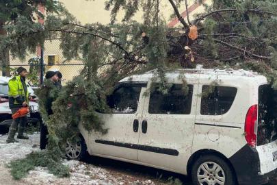 Kökünden sökülen ağaç park halindeki aracın üzerine devrildi