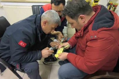 Papağanın ayağına sıkışan halhalı itfaiye çıkardı