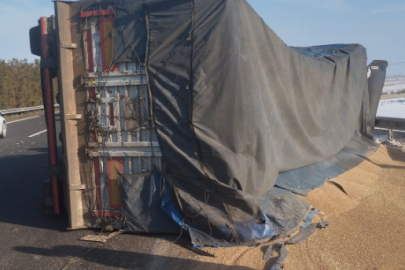 Şanlıurfa’da buğday yüklü TIR devrildi