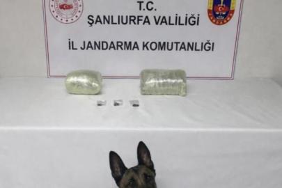 Şanlıurfa’da uyuşturucu tacirlerine geçit yok