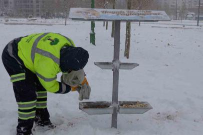 Şehitkamil sokak hayvanlarını unutmadı