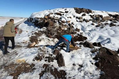 Viranşehir’de kuşlar ve yaban hayvanları unutulmadı