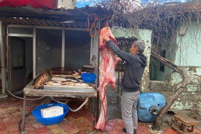 2 metrelik dev yayın balığı vatandaşın ilgi odağı oldu