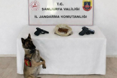 Eyyübiye'de uyuşturucu operasyonu: 1 gözaltı