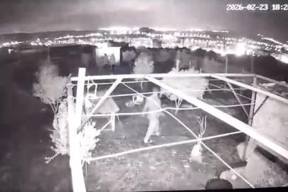 Hobi bahçesine giren hırsızlar 25 güvercini çaldı