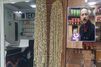 Şanlıurfa’da bamya altınla yarışıyor