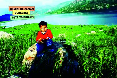 Şanlıurfa'da doğa uyanıyor