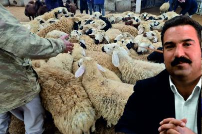 'Şanlıurfa'da Küçükbaş Besi OSB kurulmalı'