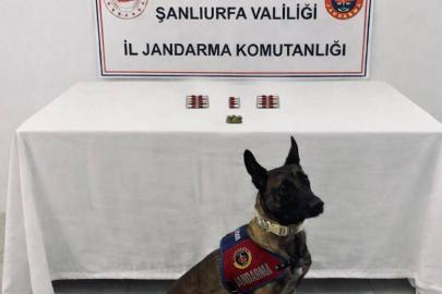 Şanlıurfa’da uyuşturucu operasyonları