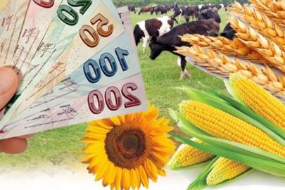 Şanlıurfalı çiftçilere müjde