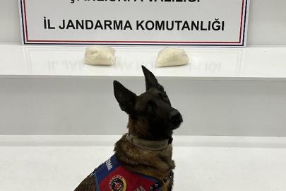 Viranşehir’de operasyon: 2 gözaltı