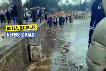Balıklıgöl'de son durum
