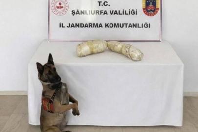 Birecik’te uyuşturucu operasyonu: 2 gözaltı