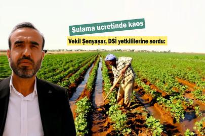 Bu hakkaniyete sığar mı?