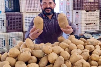 Dev patatesler pazarın ilgi odağı oldu
