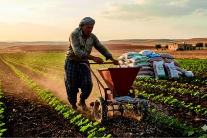 Gübre zamlanıyor, çiftçi maliyeti katlanıyor