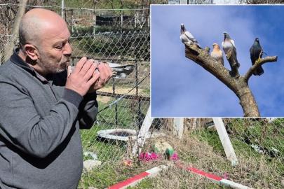 Güvercin tutkunu olan adam: 1 ev parası veren bile var