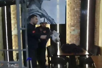 Havalandırma boşluğunda mahsur kalan kedi kurtarıldı