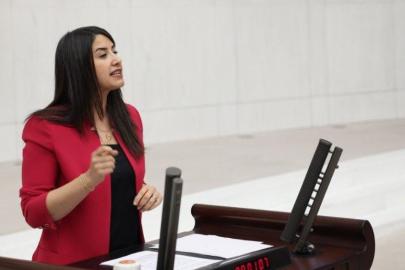 Şanlıurfa'daki hastaların sorunları TBMM'ye taşındı