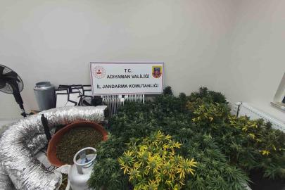 Jandarmadan uyuşturucu operasyonu: 1 gözaltı