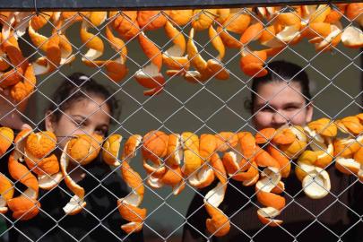 Limon ve turunç kabukları kadınların elinde değerleniyor