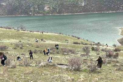 Nergisler doğaseverlerin ilgi odağı oldu