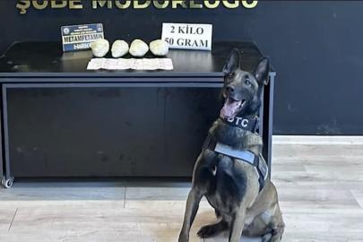 Ocak ayının en başarılı narkotik köpeği "Jardi" oldu
