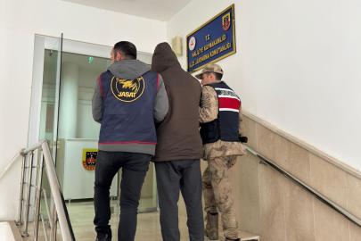 Şanlıurfa çekirgesini Jandarma paketledi