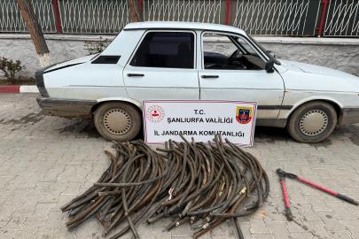Şanlıurfa TİGEM'de kablo hırsızlığı